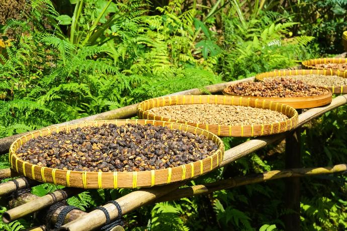 yellow and brown woven basket